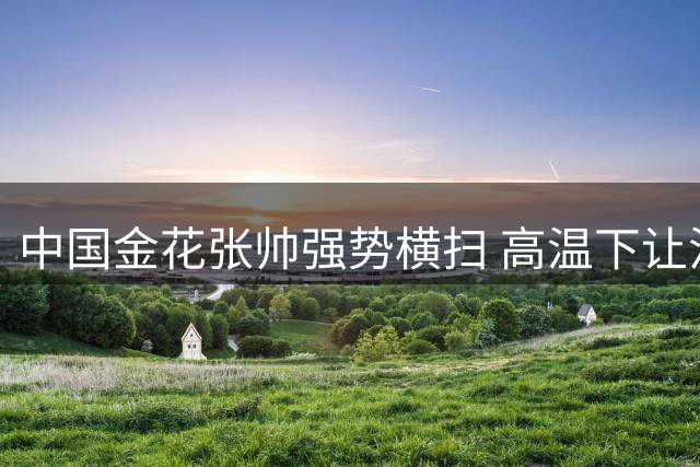 中国金花张帅强势横扫 高温下让法网冠军提前缴械