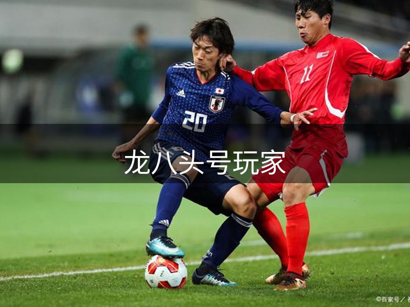 网站概况
